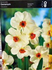 Нарцисс многоцветковый Geranium 1шт