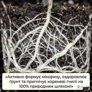 Біофунгіцид Триходермін (Viridin) 20 г, Ензим Агро - фото упаковки