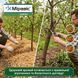 Фунгіцид Міравіс 45 мл, Syngenta