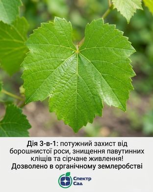 Фунгицид Микротиол Специаль 40 г, Спектр Сад - фото упаковки
