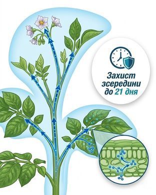 Инсектицид АТО Жук 15 мл, Аптека садовника - фото упаковки
