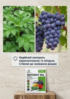 Фунгіцид Акробат 40 г, ProtectON - фото упаковки