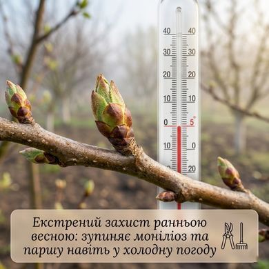 Фунгицид Страж 3 г, Аптека садовника - фото упаковки