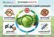 Комплект Рятівник капусти 3 мл + 11 мл, AgroProtection