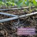 Удобрение Пекацид (Pekacid) NPK 0-60-20, 15 г, Organic Planet