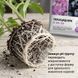 Удобрение Пекацид (Pekacid) NPK 0-60-20, 15 г, Organic Planet