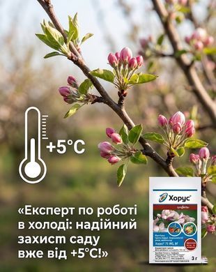 Фунгицид Хорус 3 г, Syngenta - фото упаковки