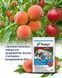 Фунгицид Хорус 3 г, Syngenta