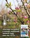 Фунгицид Хорус 3 г, Syngenta