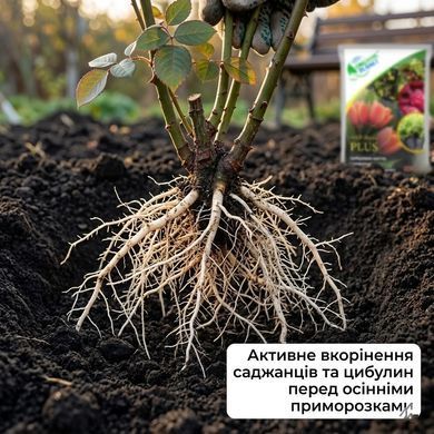 Удобрение Хайфа МКР (0-52-34) 20 г, Organic Planet - фото упаковки