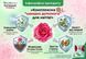 Комплект Спасатель роз 3 мл + 11 мл, AgroProtection