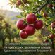 Удобрение Хайфа МКР (0-52-34) 20 г, Organic Planet