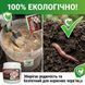 Інсектицид біологічний Ентоцид 100 г, Ензим Агро