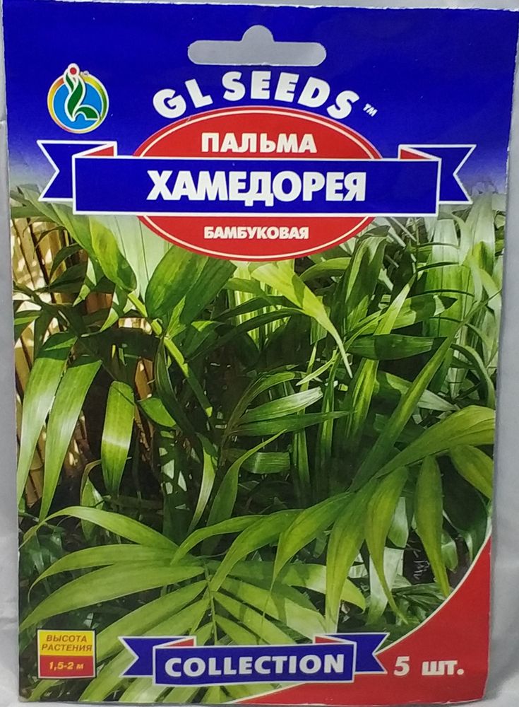 Пальма бамбуковая Хамедорея 5с