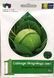 Насіння білоголової капусти Українська Осінь 5г, Vinel seeds