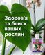 Біоінсектицид Фітоверм 2 мл, Киссон