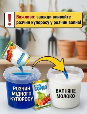 Фунгицид Смесь Бордо 250 г, Bingo - фото упаковки