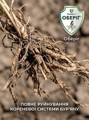 Гербіцид Оберіг 1 л, ProtectON - фото упаковки