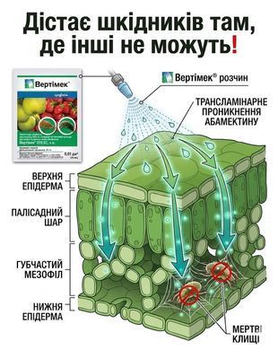 Інсектицид Вертімек 10 мл, Syngenta - фото упаковки