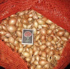 Цибуля озима Радар 1кг - фото упаковки