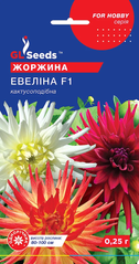 Жоржина Евеліна F1 0,25г