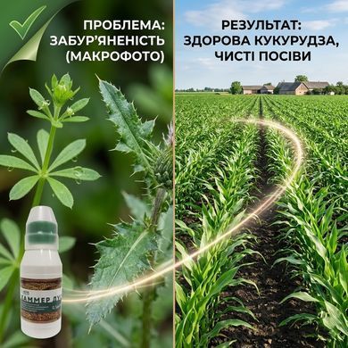 Гербіцид Хаммер Дуо 100 мл, Альфа Смарт Агро - фото упаковки