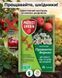 Інсектицид Прованто Вернал 2 мл, Protect Garden