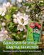 Інсектицид Прованто Вернал 2 мл, Protect Garden