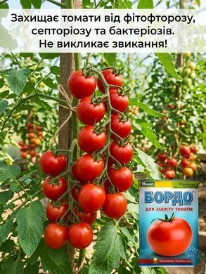 Фунгицид Бордо 10 г, Bingo - фото упаковки