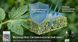 Фунгицид Магникур Нео 100 мл, Protect Garden