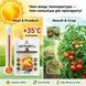 Биоинсектицид Актофит 40 мл, ProtectON