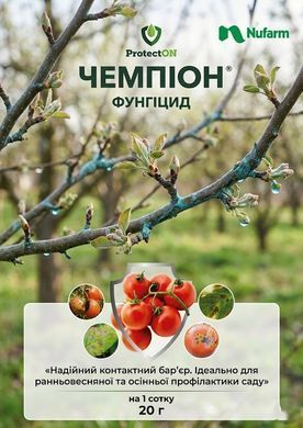 Фунгицид Чемпион 20 г, ProtectON - фото упаковки