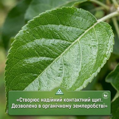 Фунгіцид Біошок 40 г, Агропромника - фото упаковки