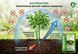 Инсектицид Инспиратор 15 таблеток, AgroProtection