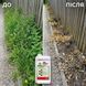 Гербіцид Раундап Макс 1 л, Monsanto