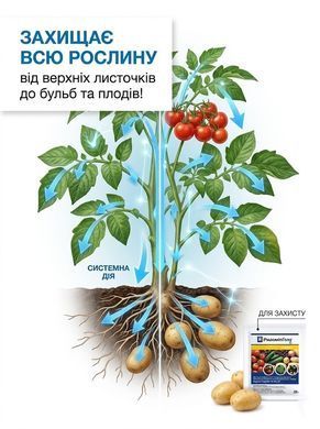 Фунгіцид Ридоміл Голд 25 г, Syngenta - фото упаковки