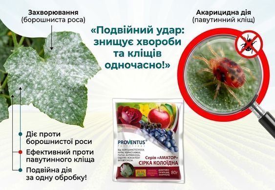 Фунгіцид Сірка колоїдна 80 г, Proventus - фото упаковки