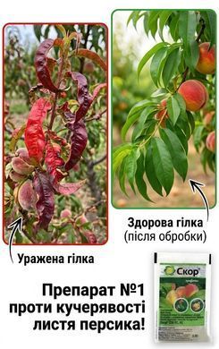 Фунгіцид Скор 100 мл, Syngenta - фото упаковки