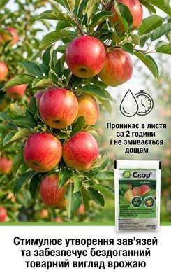 Фунгіцид Скор 100 мл, Syngenta - фото упаковки