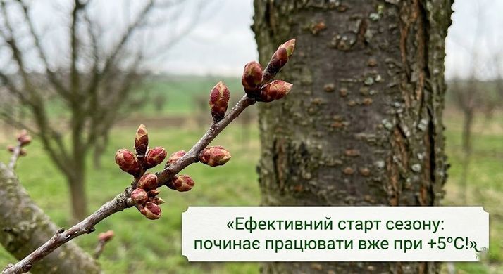 Фунгицид Сальто 30 мл, Семейный Сад - фото упаковки