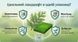 Комплект Рятівник хвої та газону 3 мл + 11 мл, AgroProtection