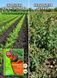 Гербицид Пермаклин Ликвид 20 мл, Protect Garden