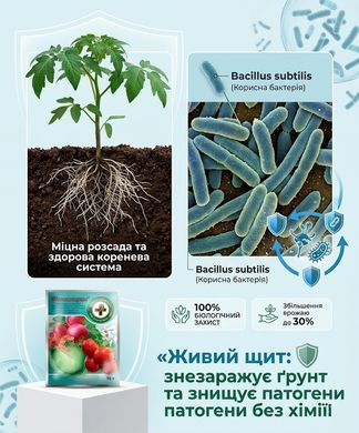 Біофунгіцид Фітоспорин 10 г, Киссон - фото упаковки