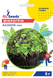 Насіння мікрозелені Базилік мікс 5г GL Seeds