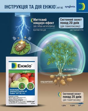 Инсектицид Энжио 3.6 мл, Syngenta - фото упаковки