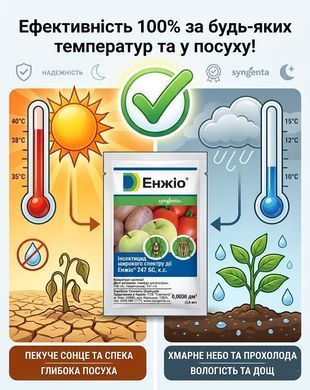 Инсектицид Энжио 3.6 мл, Syngenta - фото упаковки