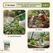 Інсектицид Актара 1.4 г, Syngenta