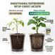 Інсектицид Актара 1.4 г, Syngenta