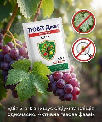 Фунгіцид Тіовіт Джет 40 г, Syngenta - фото упаковки