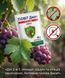 Фунгіцид Тіовіт Джет 40 г, Syngenta